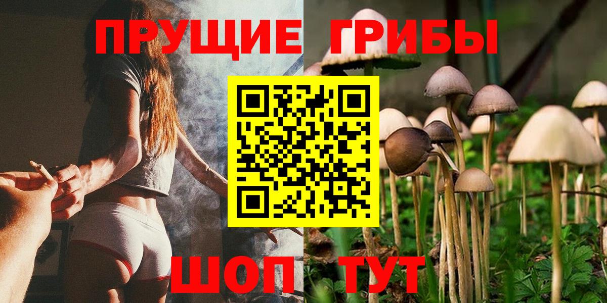 Химки  Галлюциногенные грибы Psilocybine cubensis  закладки  Вход с VPN  Галлюциногенные грибы GOLDEN TEACHER 