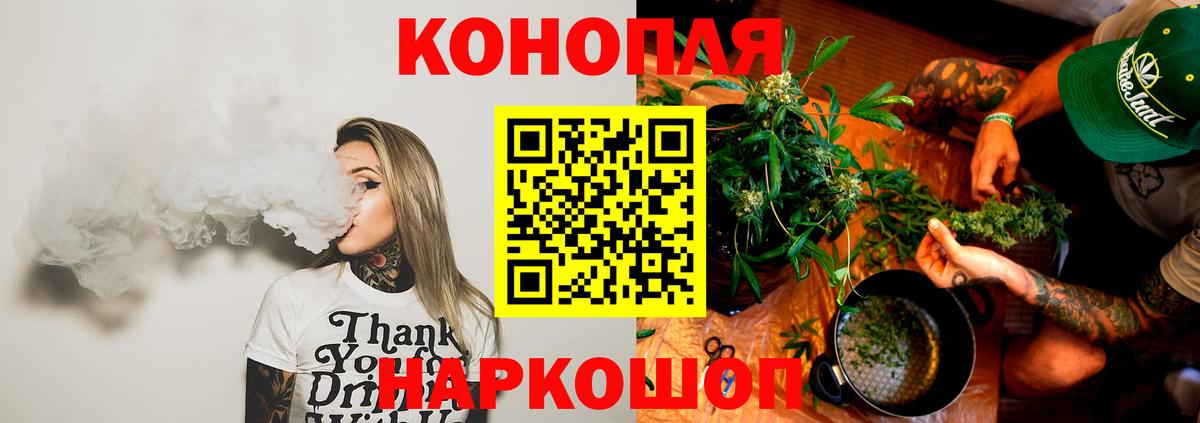 Конопля планчик  Вход с VPN  Марихуана Bruce Banner  Шишки марихуана Ganja  Химки 